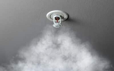 Domestic Fire Sprinkler Systems Explained: A Homeowner’s Complete Guide